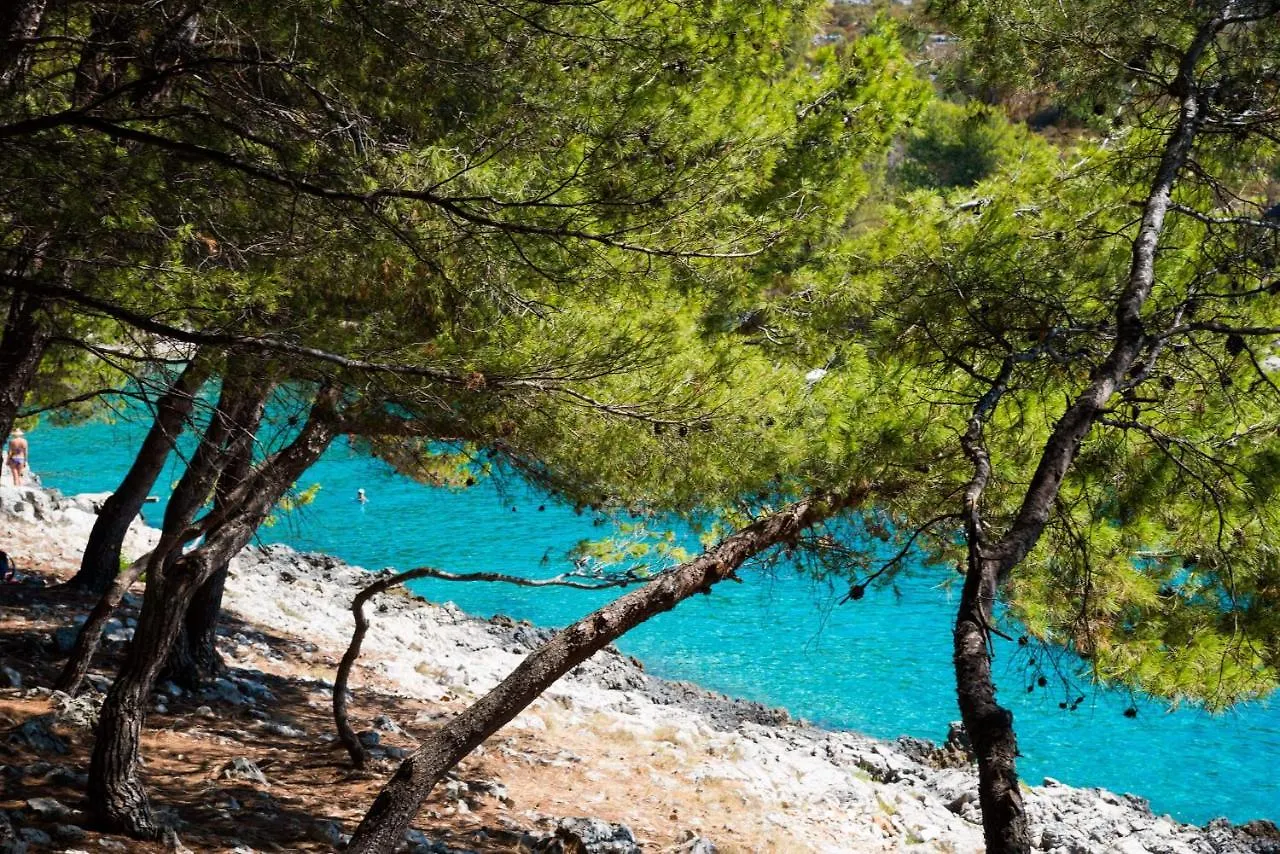 Salum Βίλα Τρογκίρ